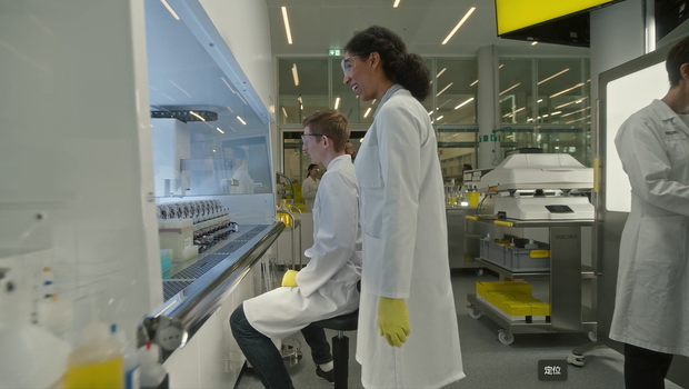 Banner image for: <h3>Fashion</h3>